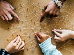 Development Projects