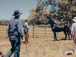 Traditional Ranch Operations