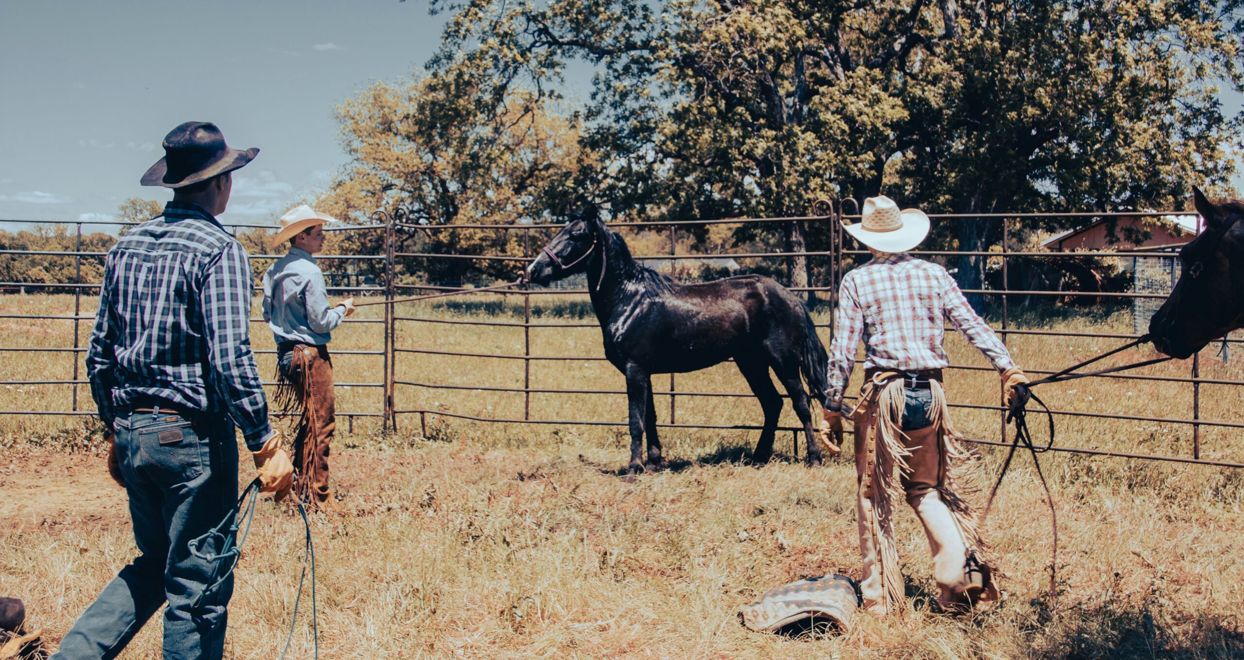 Traditional Ranch Operations