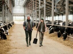 Rory Schmier - Economic Growth