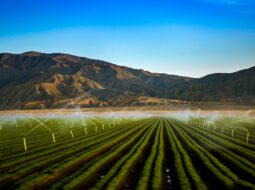 modern irrigation techniques