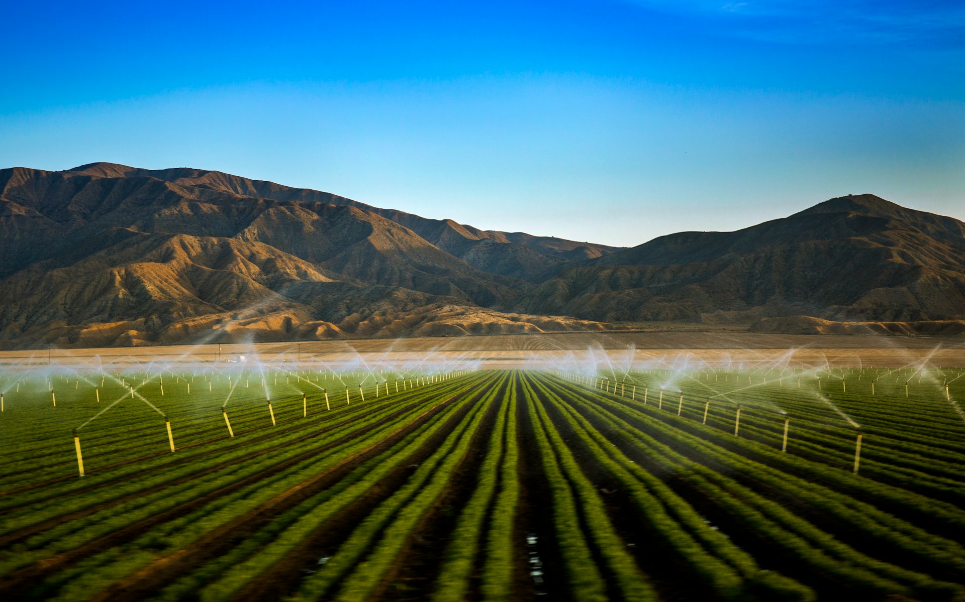 modern irrigation techniques