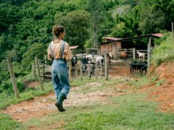 Rory Schmier: Sustainable Rural Futures
