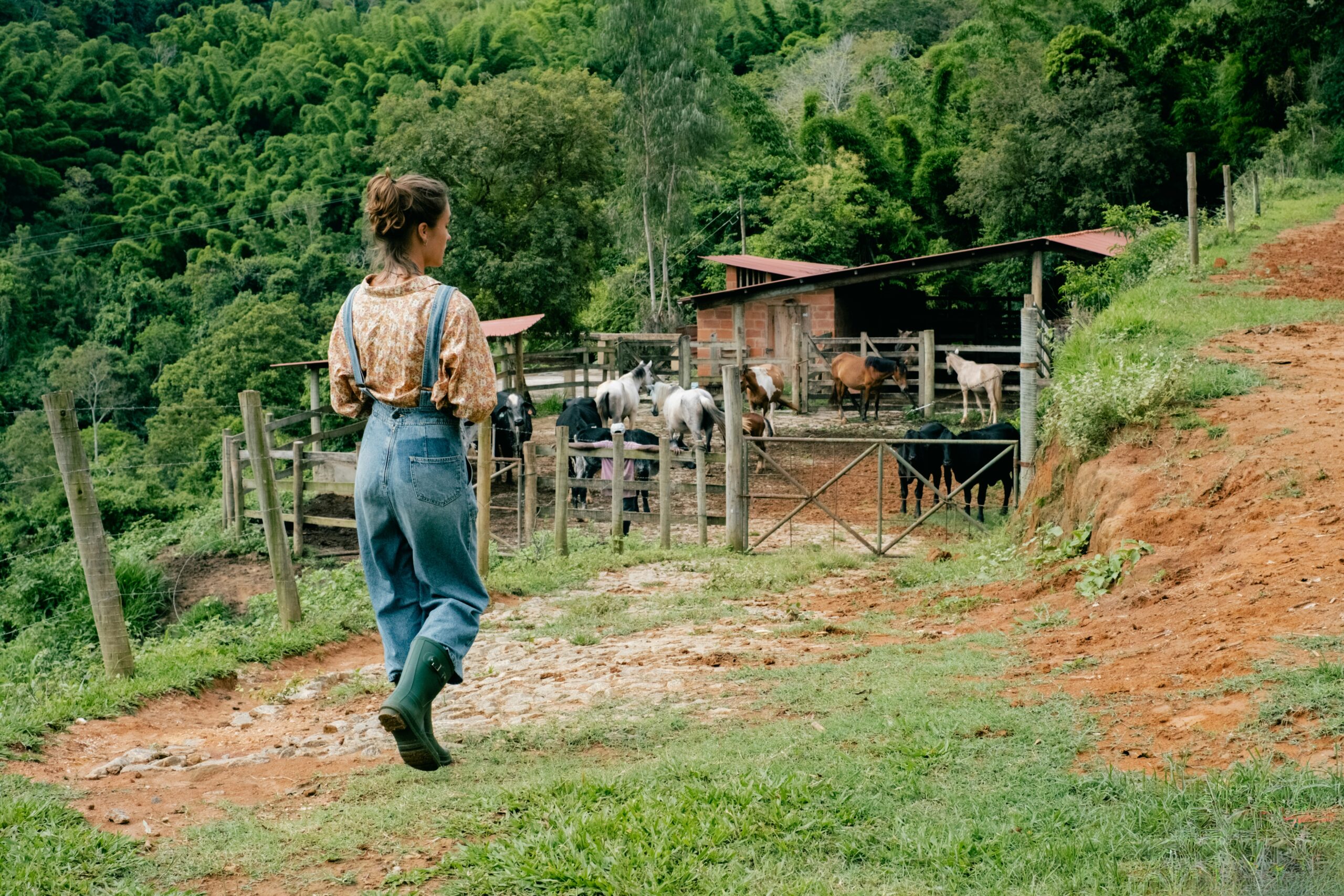 Rory Schmier: Sustainable Rural Futures